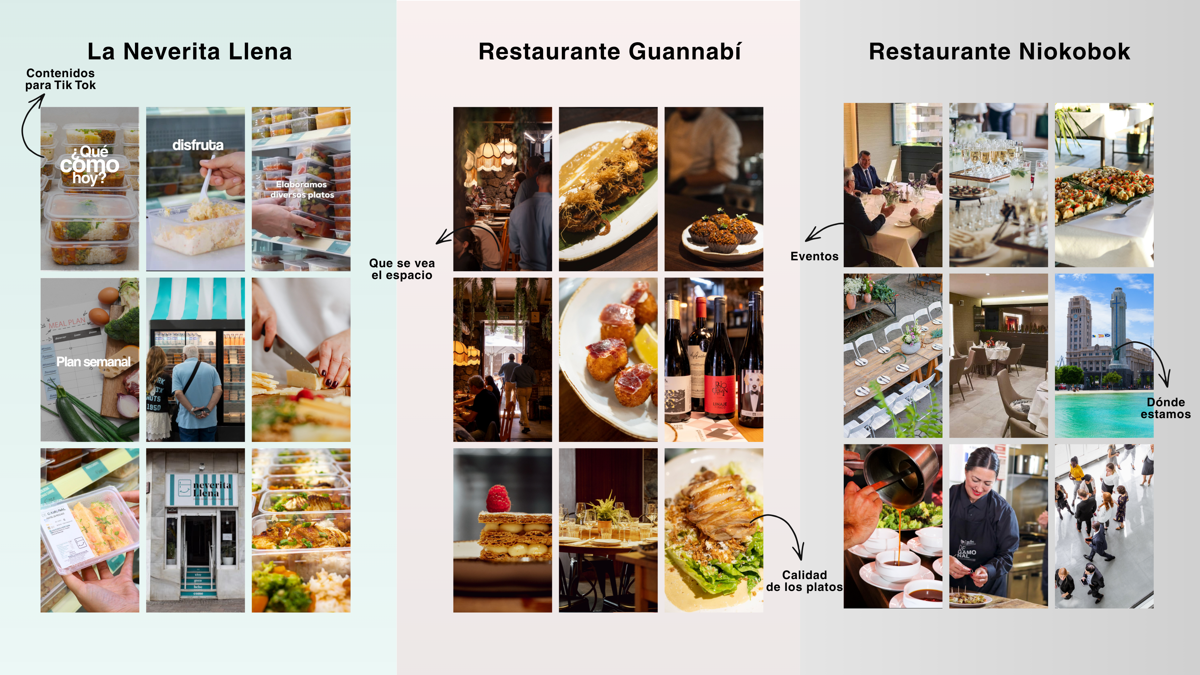 Resumen visual de los feeds propuestos para las cuatro marcas del grupo