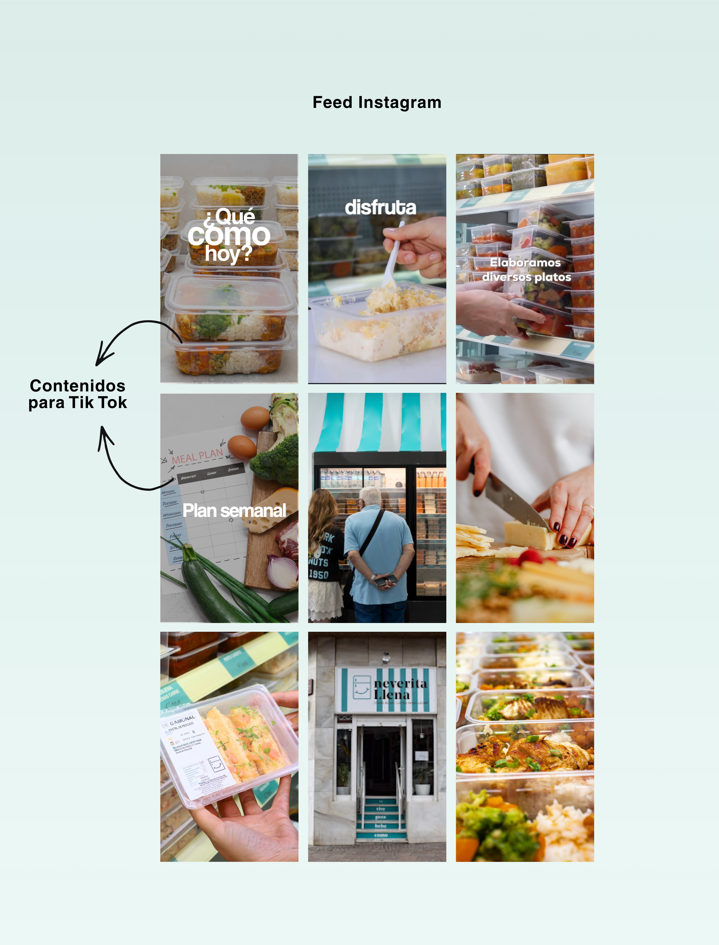 Feed Instagram y contenidos TikTok propuestos para La Neverita Llena
